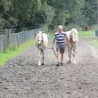 Geniet van de paarden rondom uw caravan