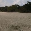 Loonse en Drunense duinen